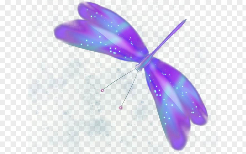 Colorful Butterfly Purple PNG