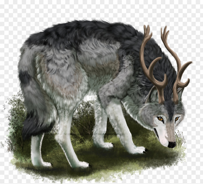 Dire Animal Gray Wolf Coyote PNG