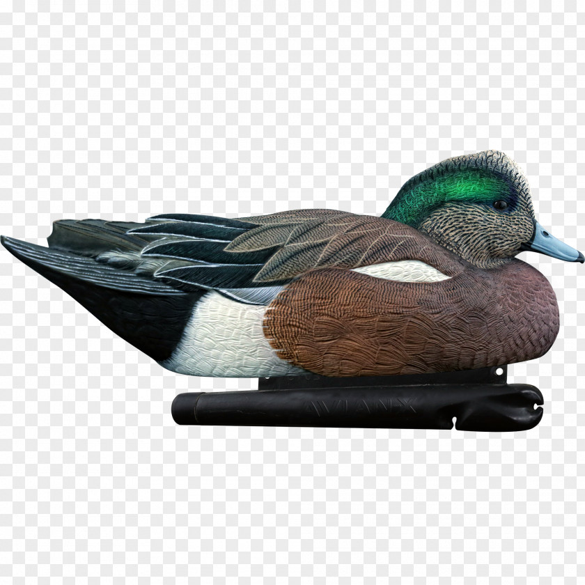 Duck Mallard Decoy Goose PNG