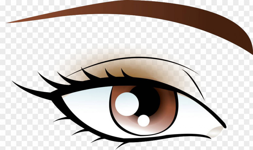 Hand-painted Eye Makeup Eyebrow Royalty-free Clip Art PNG
