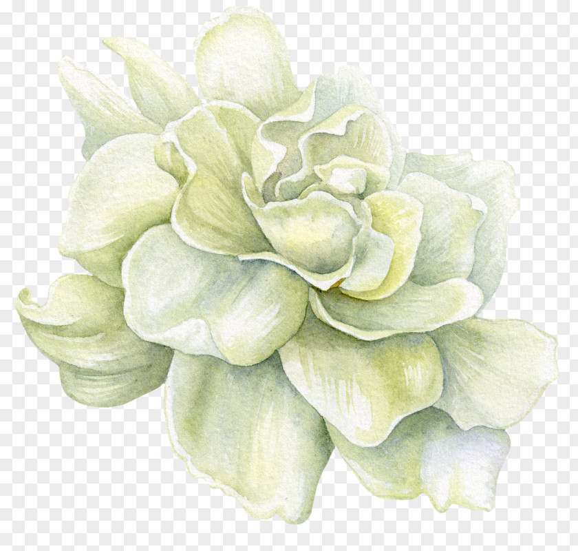 Ink White Flower PNG white flower clipart PNG