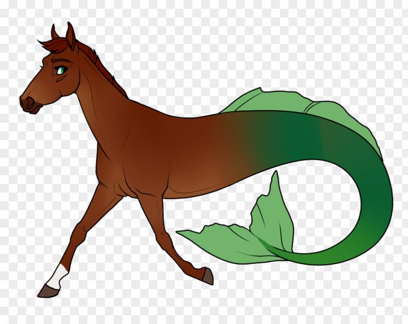 Mustang Foal Wikia Stallion PNG