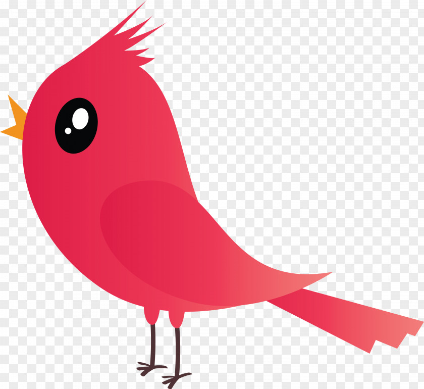 Bird Cardinal Red Beak Pink PNG