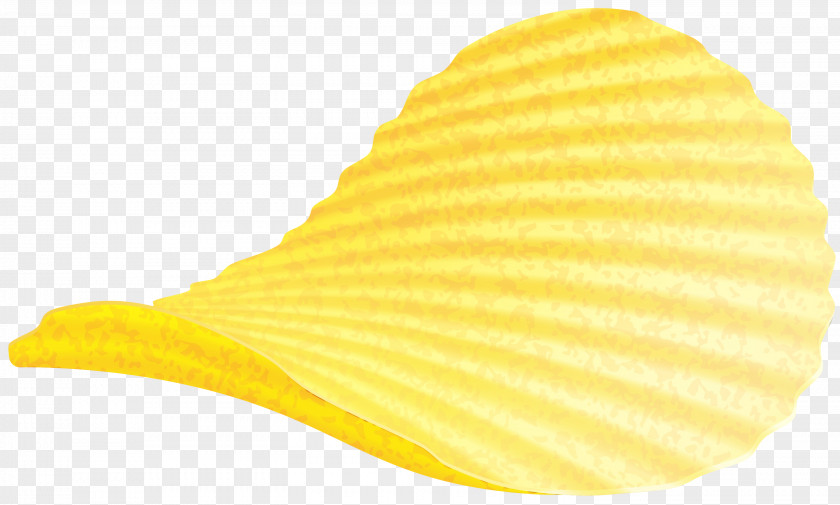 Butterflyfish Yellow PNG