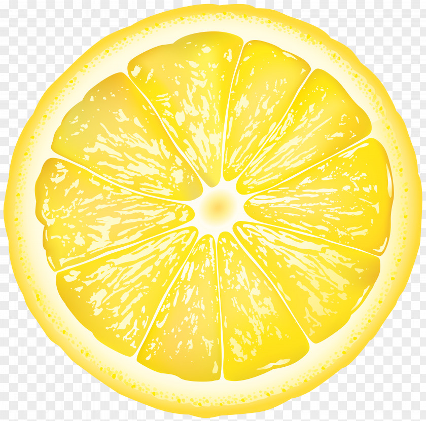 Round Lemon Slice Clip Art Image Sweet Citron Grapefruit Citrus Junos PNG