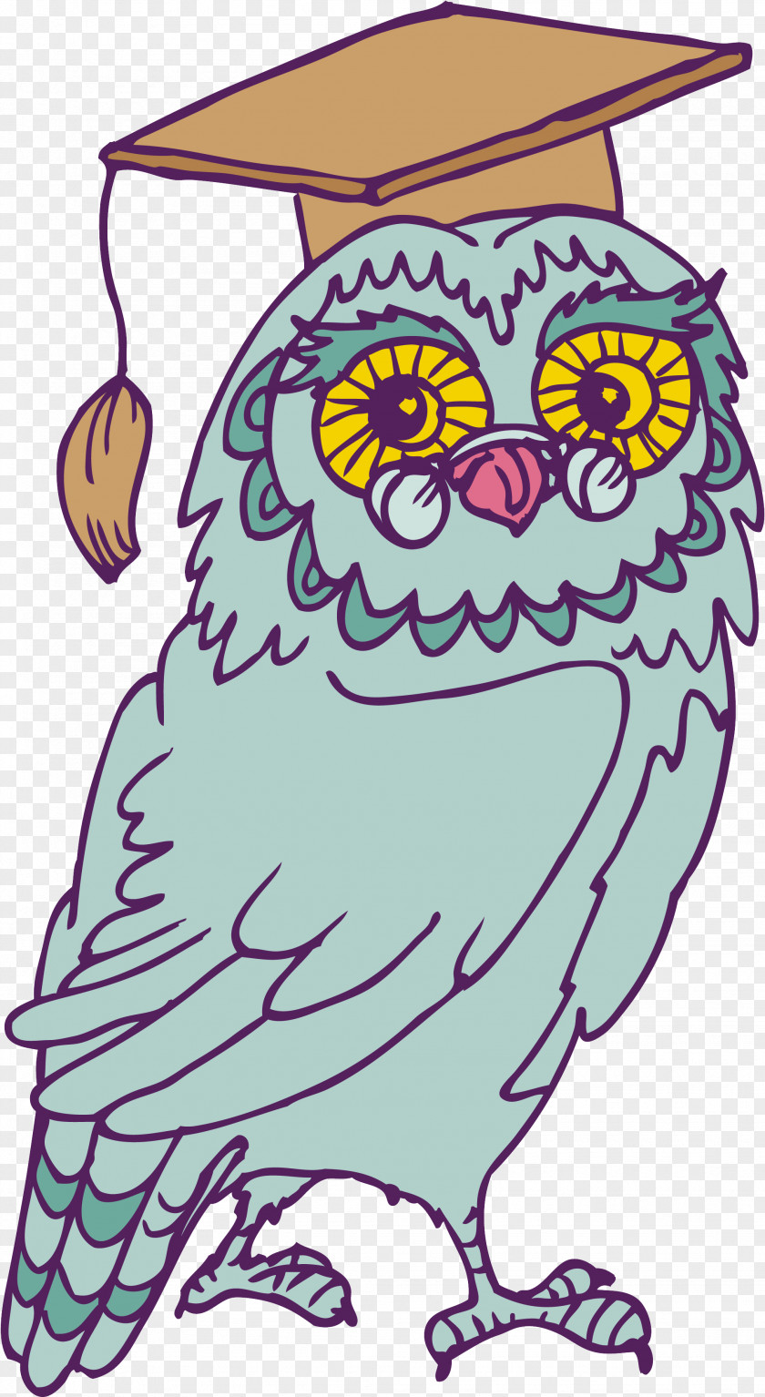 Size Owl Clip Art PNG