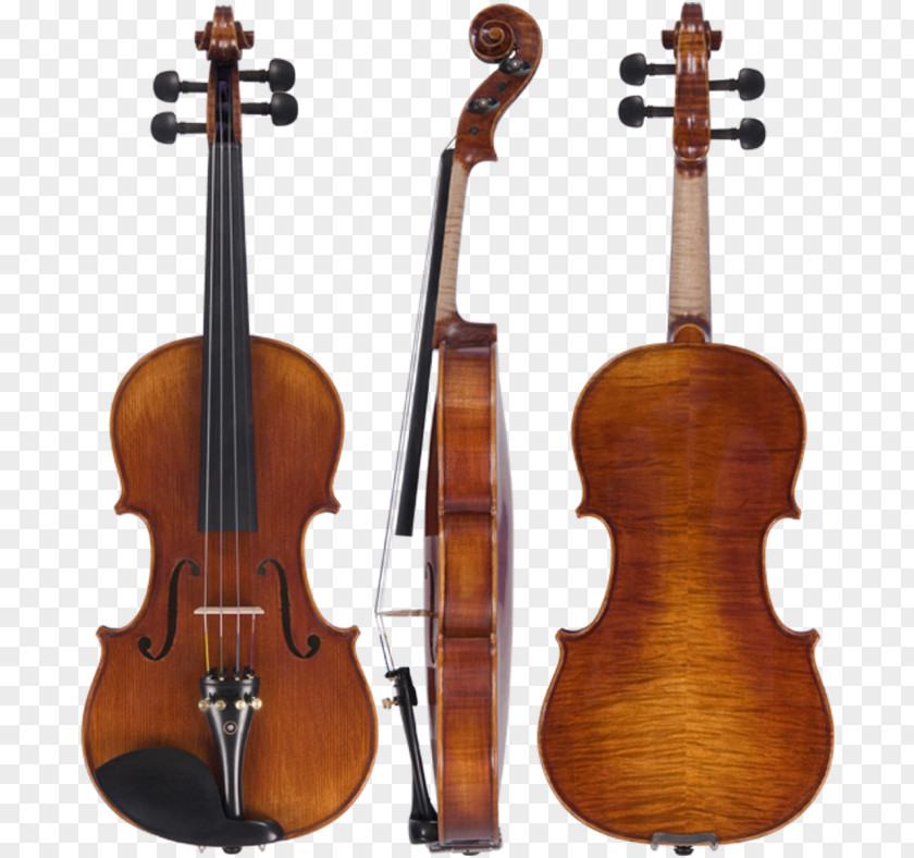 Violin Amati String Instruments Guarneri Viola PNG