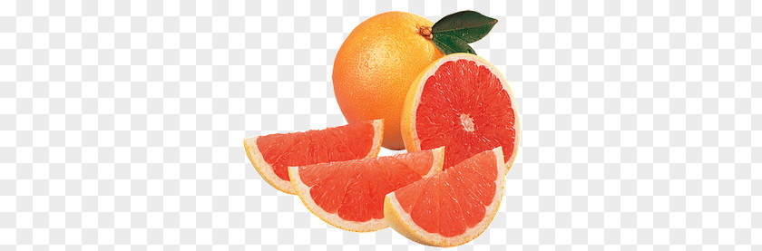 Grapefruit PNG clipart PNG