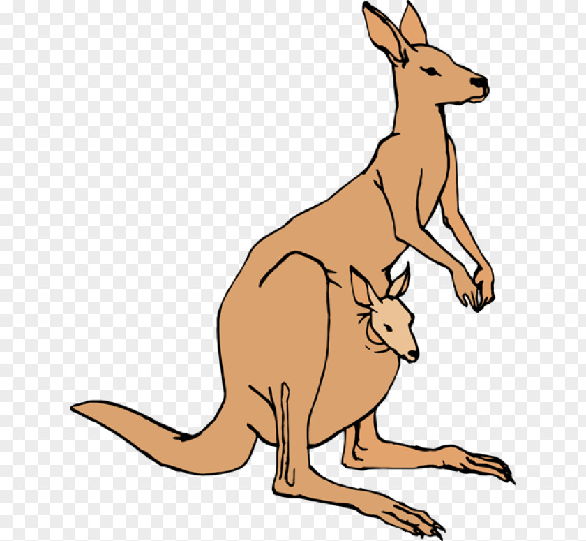 Kangaroo Free Content Pouch Clip Art PNG