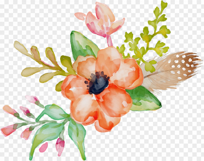 Magnolia Wildflower Watercolor Floral Background PNG