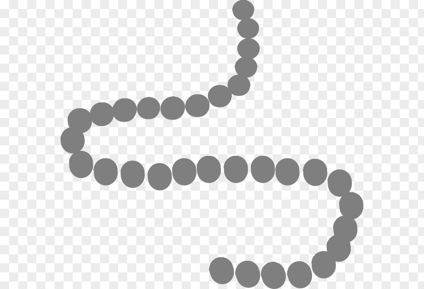 Necklace Vector Beadwork String Clip Art PNG