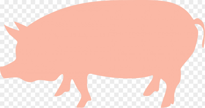Pig Domestic Animal Natural Resource Clip Art PNG