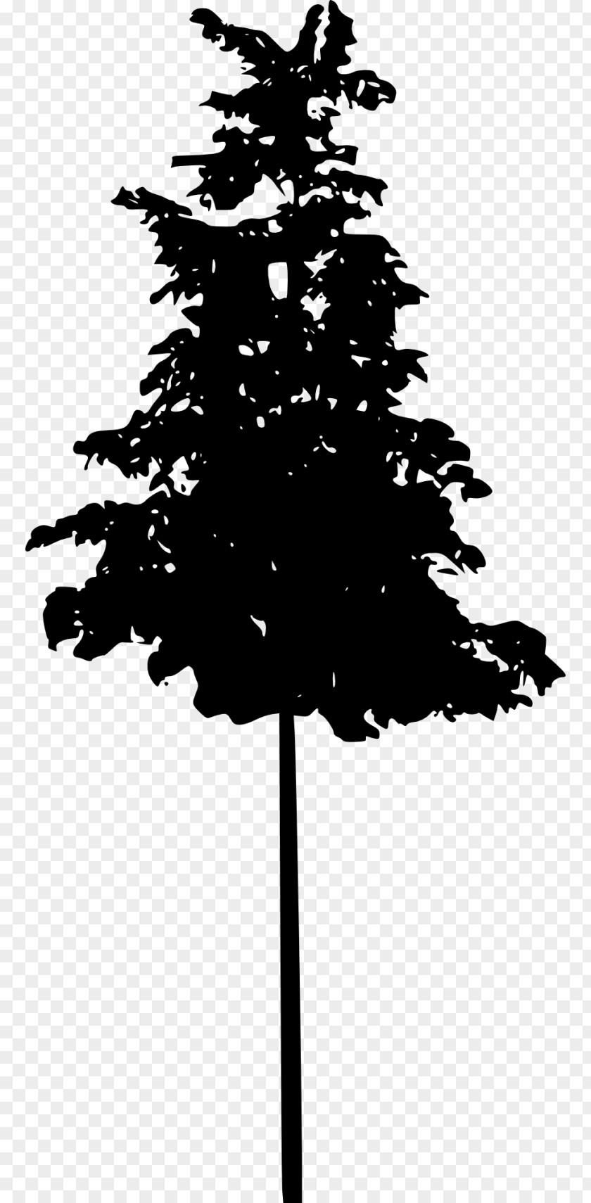 Tree Silhouette Pine Spruce Conifers PNG