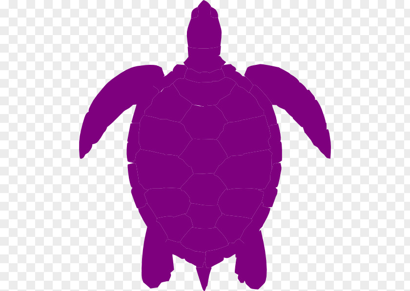 Turtle Green Sea Silhouette Clip Art PNG