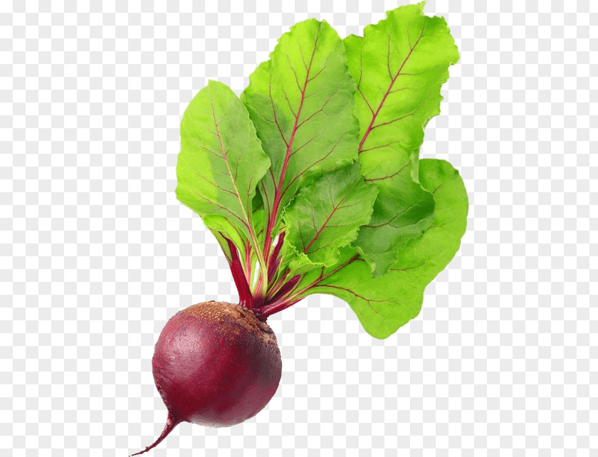 Vegetable Organic Food Beetroot Vegetarian Cuisine Chard PNG