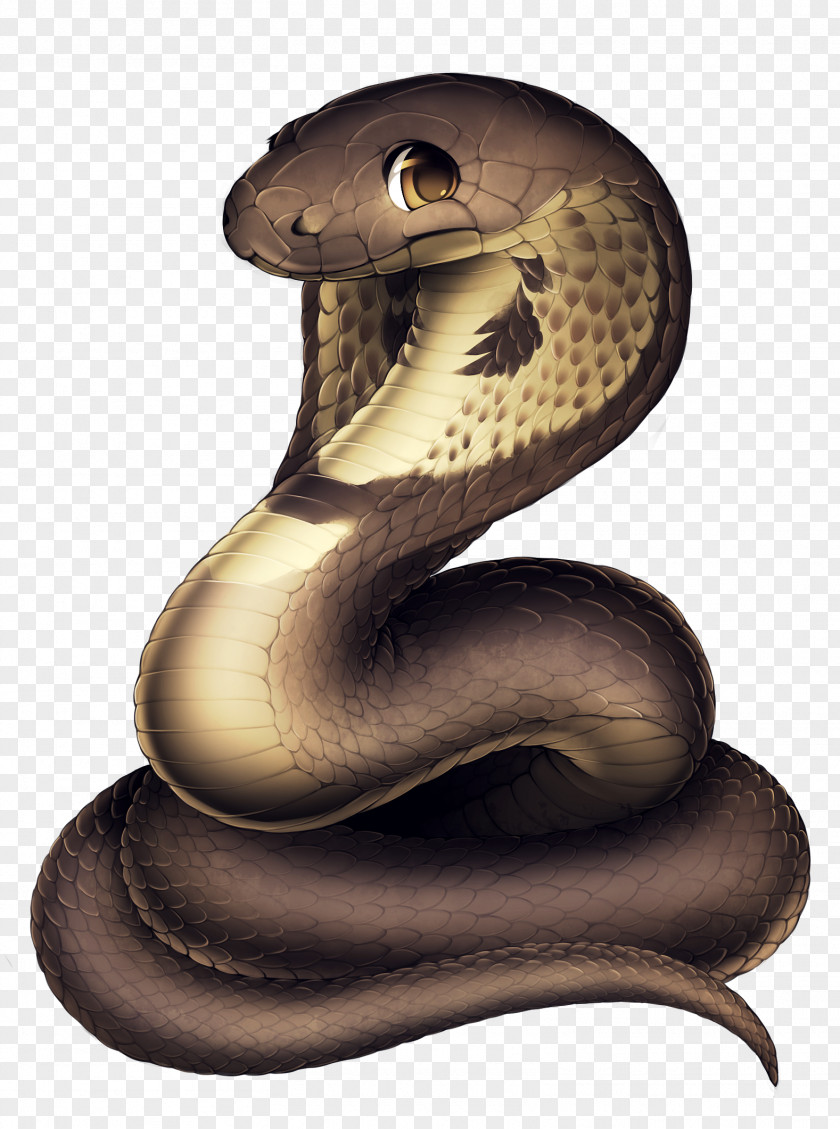 Cobra Snake Drawing Snakes Cobras Reptile PNG