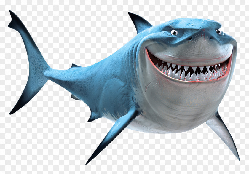 Dory Marlin Bruce Great White Shark Clip Art PNG