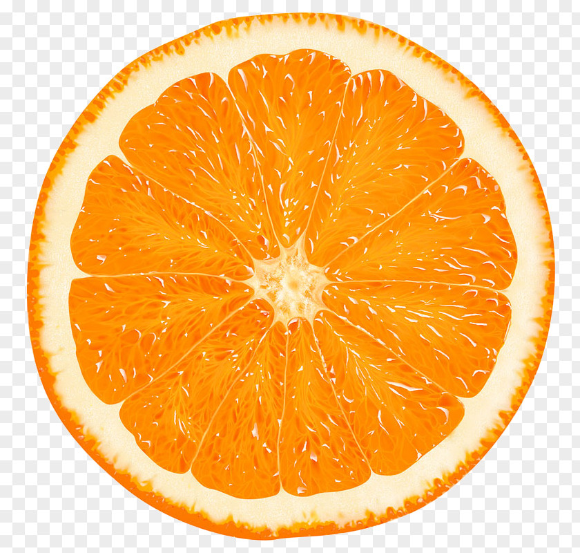 Orange Slice Tangerine Clip Art Citrus × Sinensis PNG