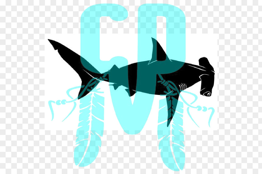 Shark Logo Teal Font PNG