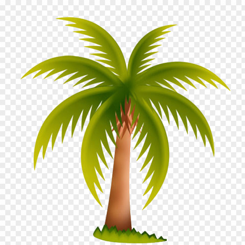 Spread Coconut Leaves Picture Material Arecaceae Date Palm Tree Clip Art PNG
