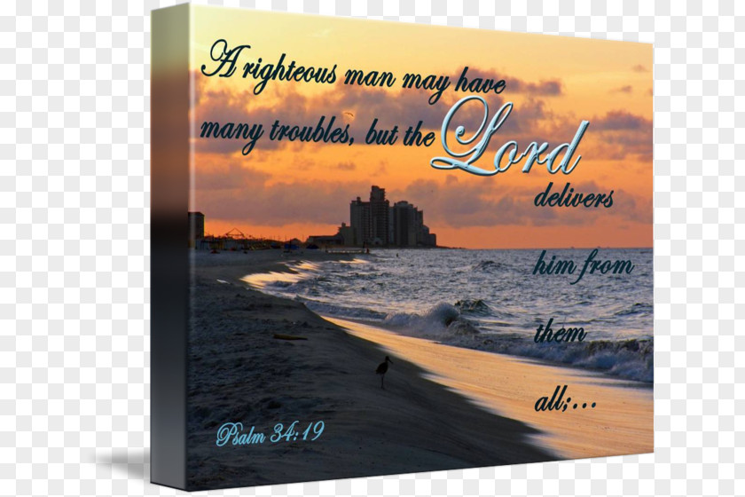 Build Your Own Beach Cart Religious Text Bible Art Image PNG