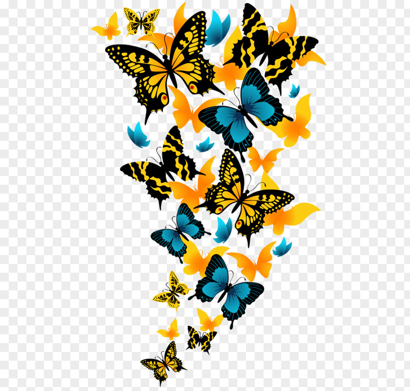 Butterfly Insect PNG