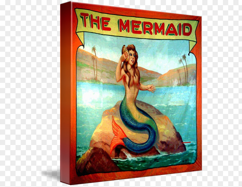 Carnival Poster Mermaid Painting Art Sideshow PNG