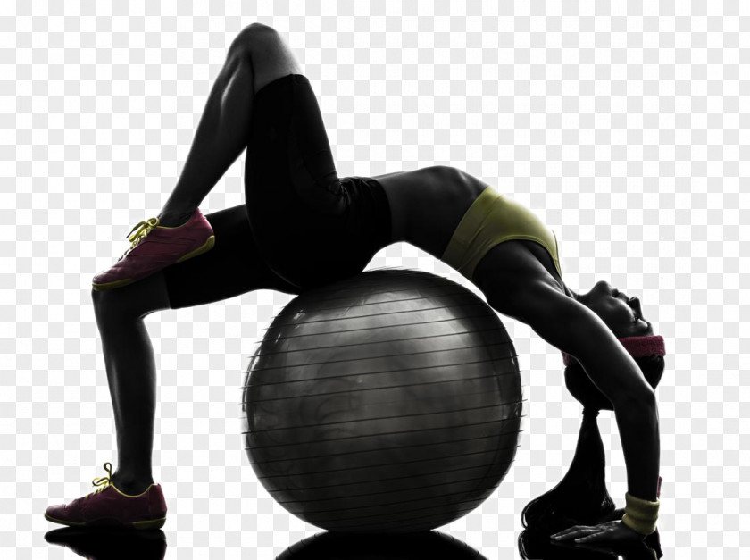 Fitness Movement Physical Exercise Ball Personal Trainer Flexibility PNG