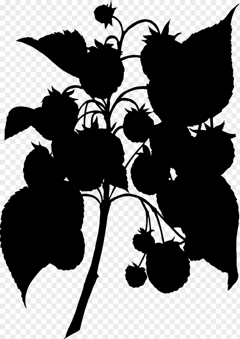 Grape Clip Art Silhouette Pattern Flower PNG