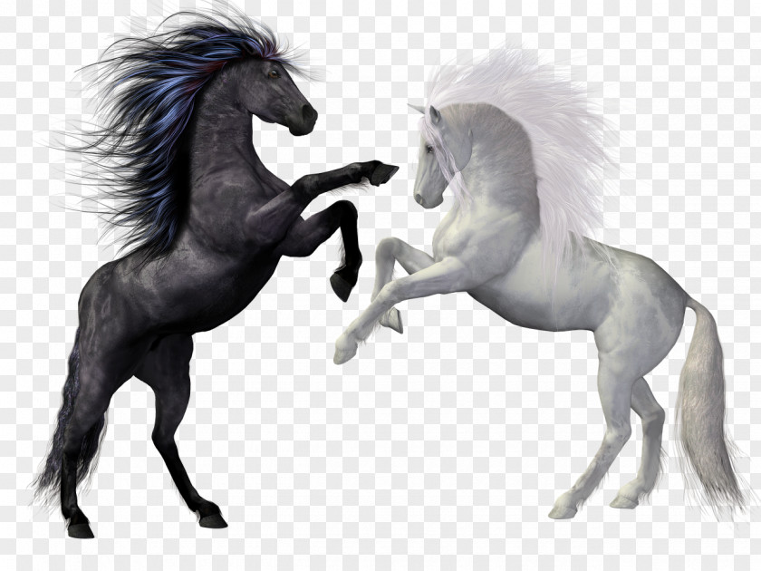 Horse Rearing Stallion Equestrian Unicorn PNG