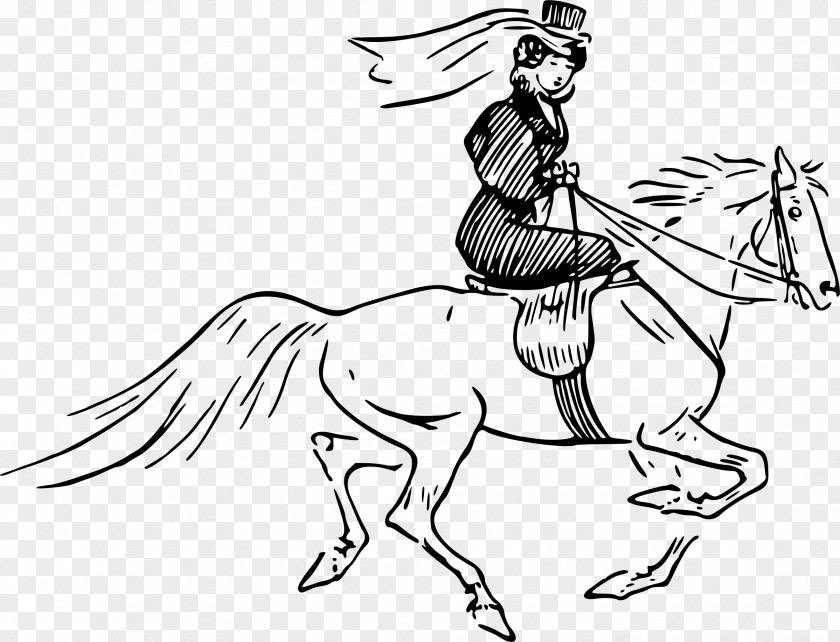 Horse Riding Line Art Clip PNG