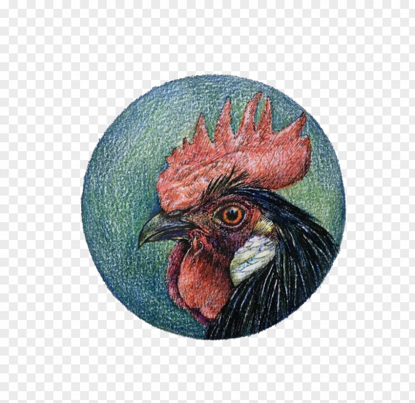 Painted Rooster Round Avatar Chicken PNG