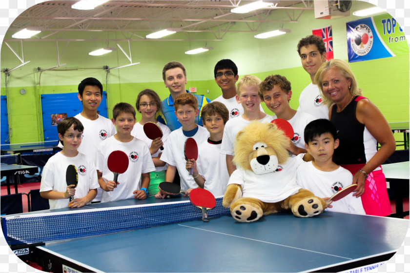 Table Tennis League Rogers Cup Topspin Ping Pong Strings PNG