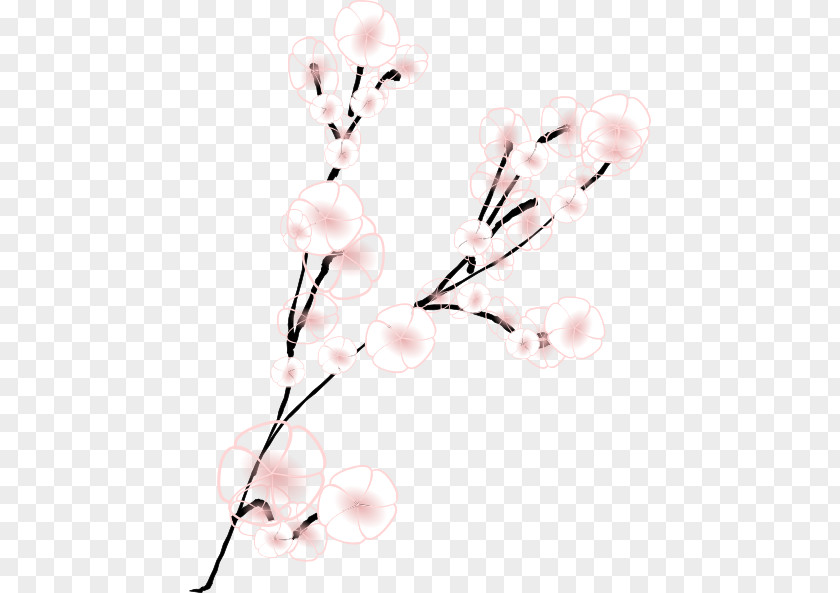 Cherry Blossom Vector Flower Clip Art PNG