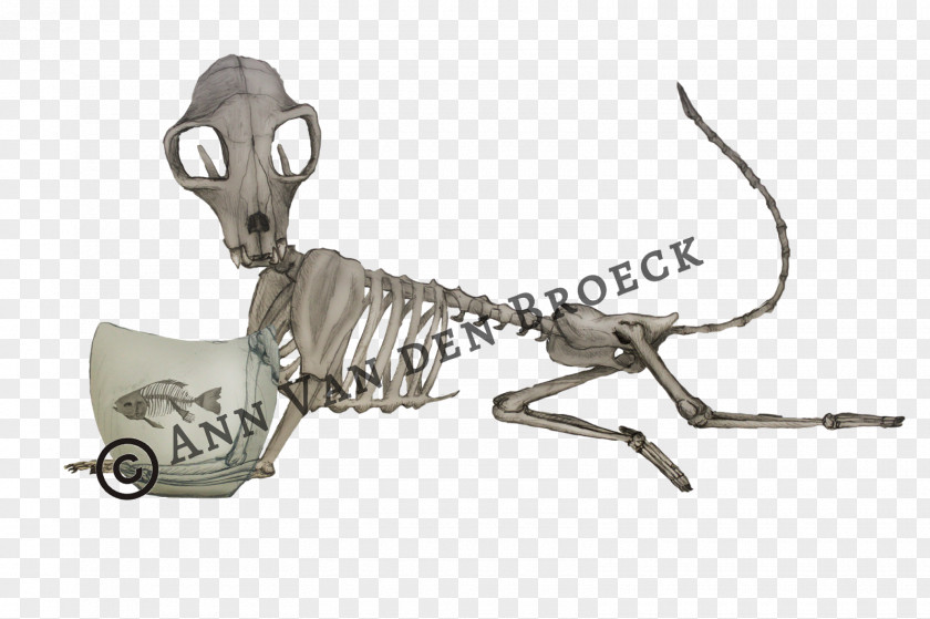 Crazy Bonez Skeleton Cat Carnivores PNG