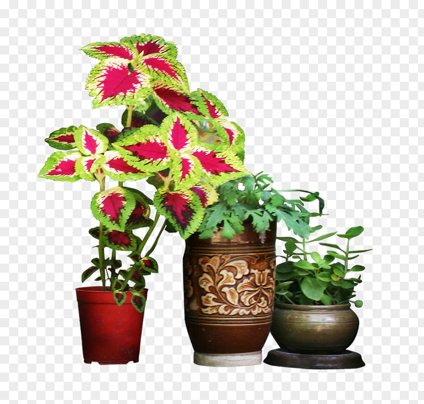 Tree Vase Flowerpot Garden PNG