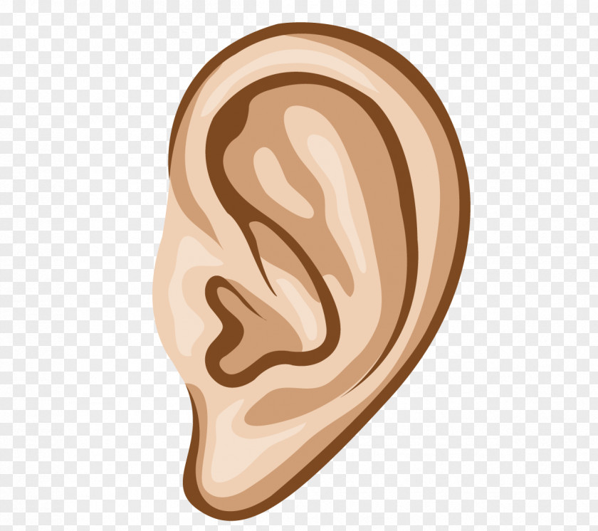 Vector Cartoon Ear Hearing Site Euclidean Sense PNG