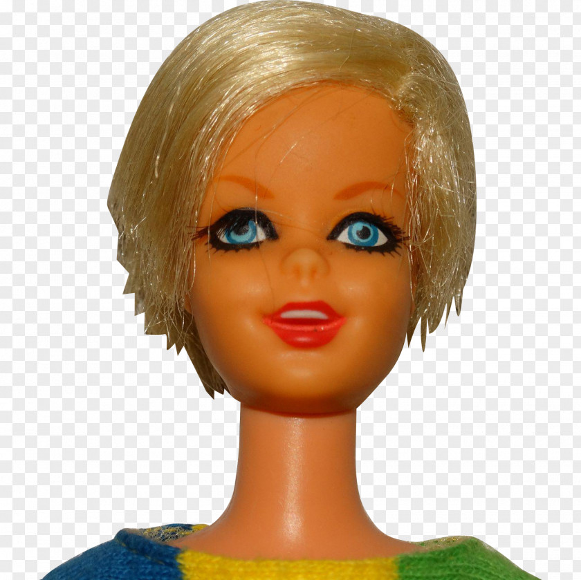 Barbie Doll Human Hair Color Mannequin Wig PNG