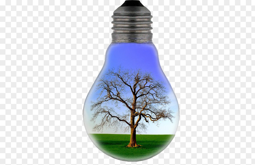 Bulb Trees Electricity Slogan Energy Conservation Electric Light PNG