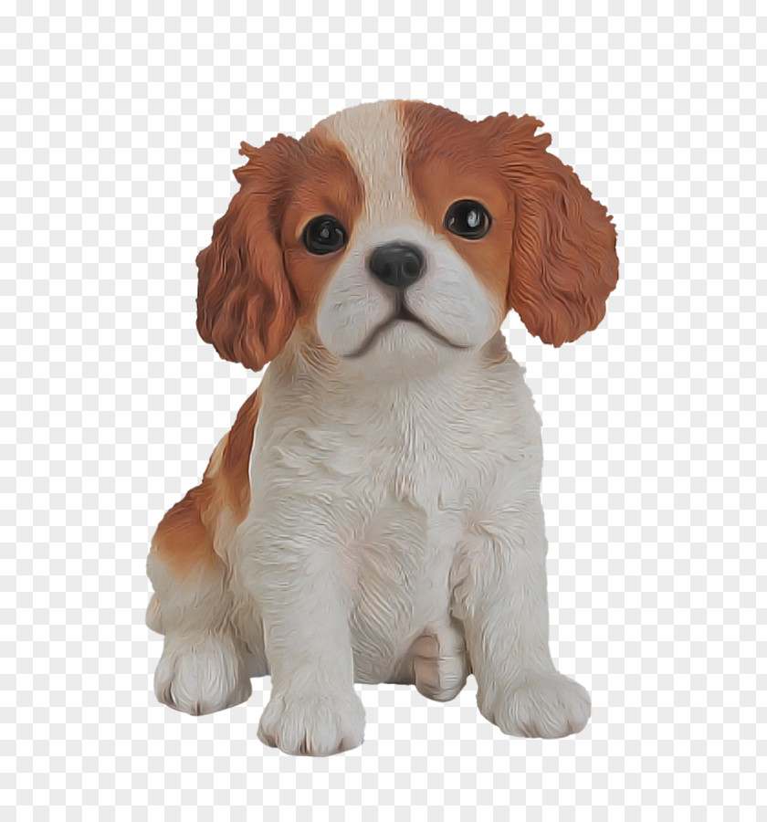 Dog King Charles Spaniel Cavalier Puppy Cocker PNG