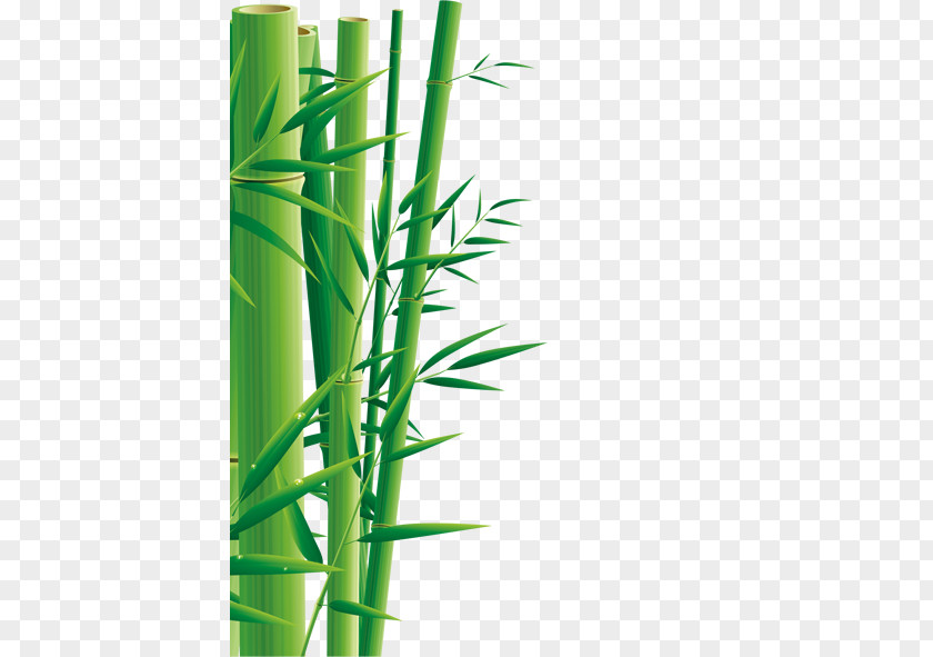 Green Bamboo Zongzi Dragon Boat Festival U7aefu5348 5u67085u65e5 PNG