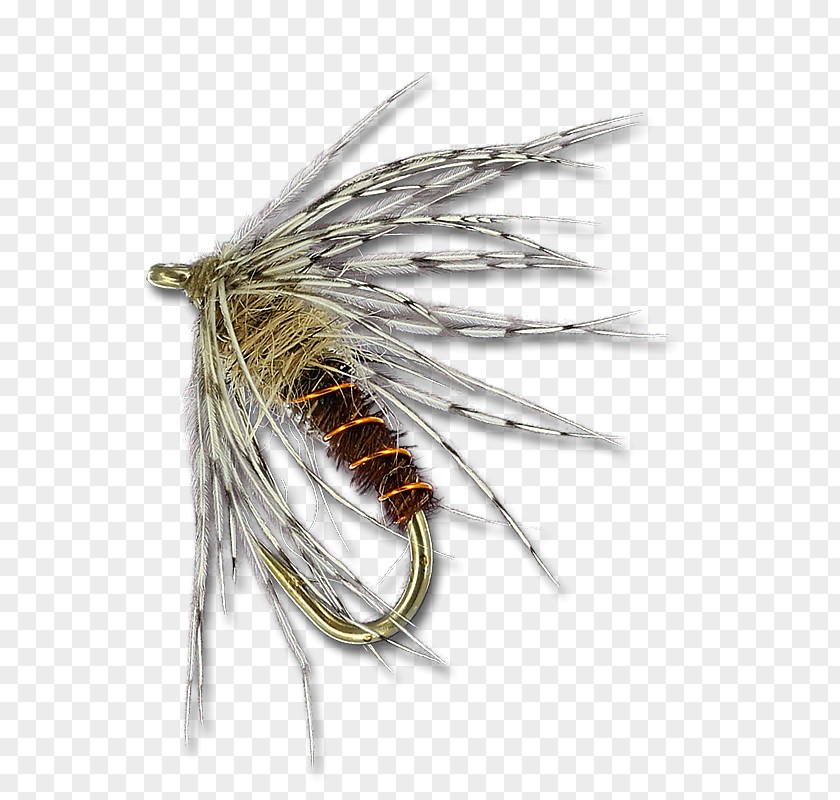 Soft Hackle Flies Insect Artificial Fly PNG