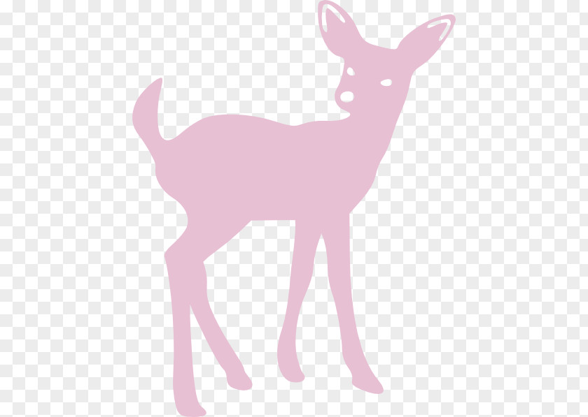 Cute Deer White-tailed Clip Art PNG