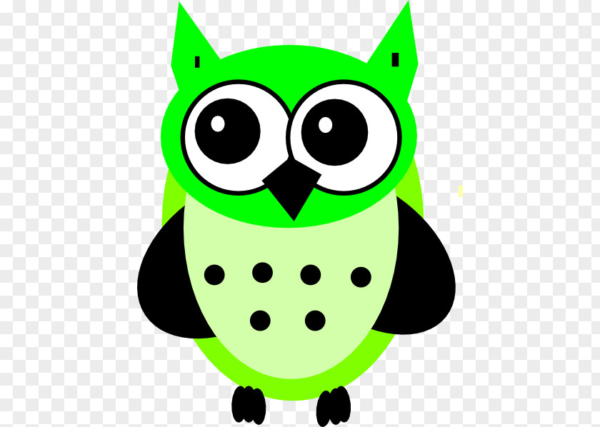 Green Owl Baby Owls Download Clip Art PNG