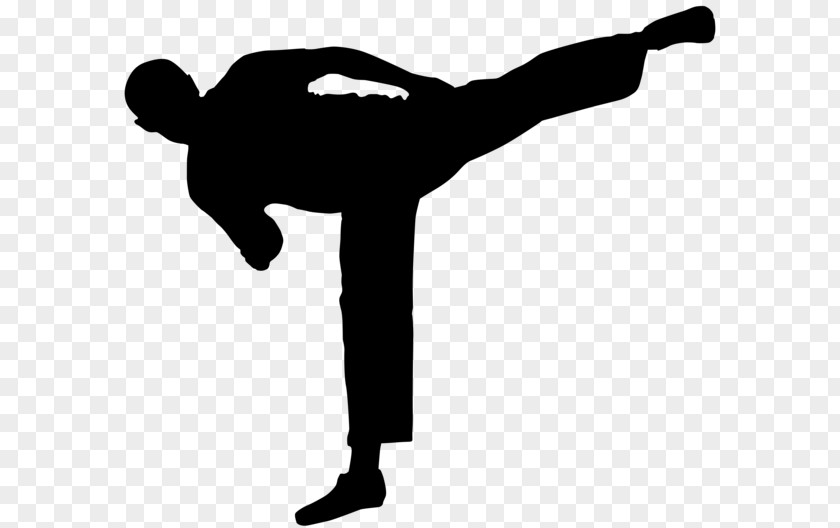 Karate The Kid Martial Arts Clip Art PNG