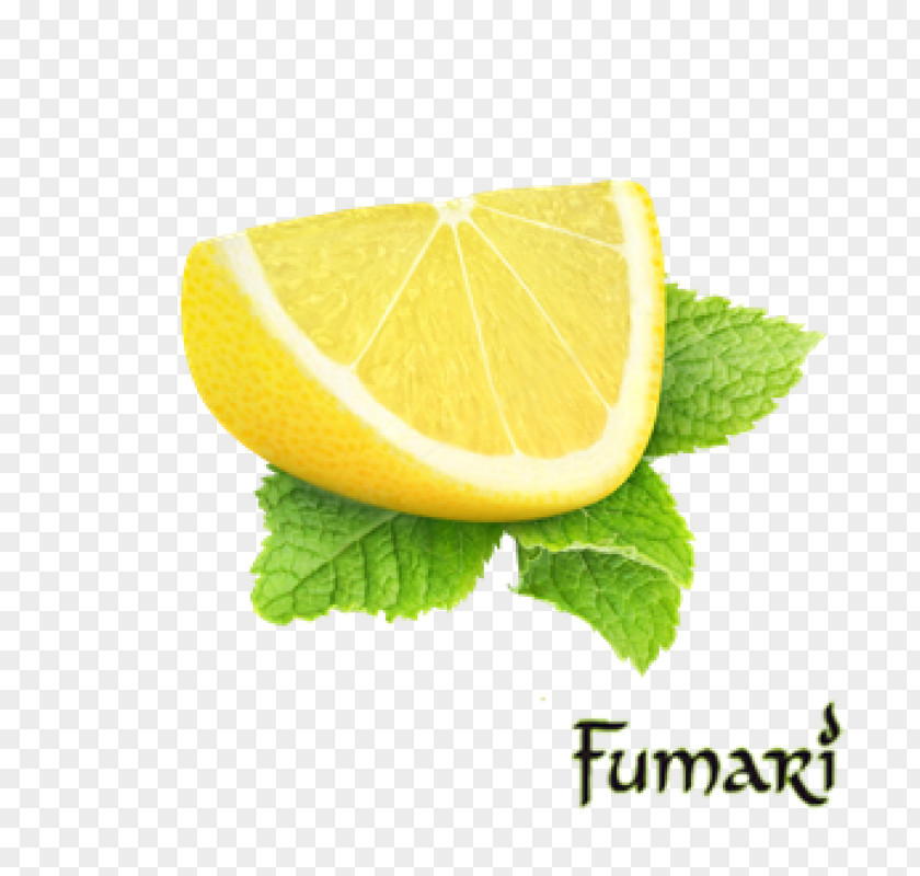 Lemon Stock Photography Lemonade Lime Food PNG