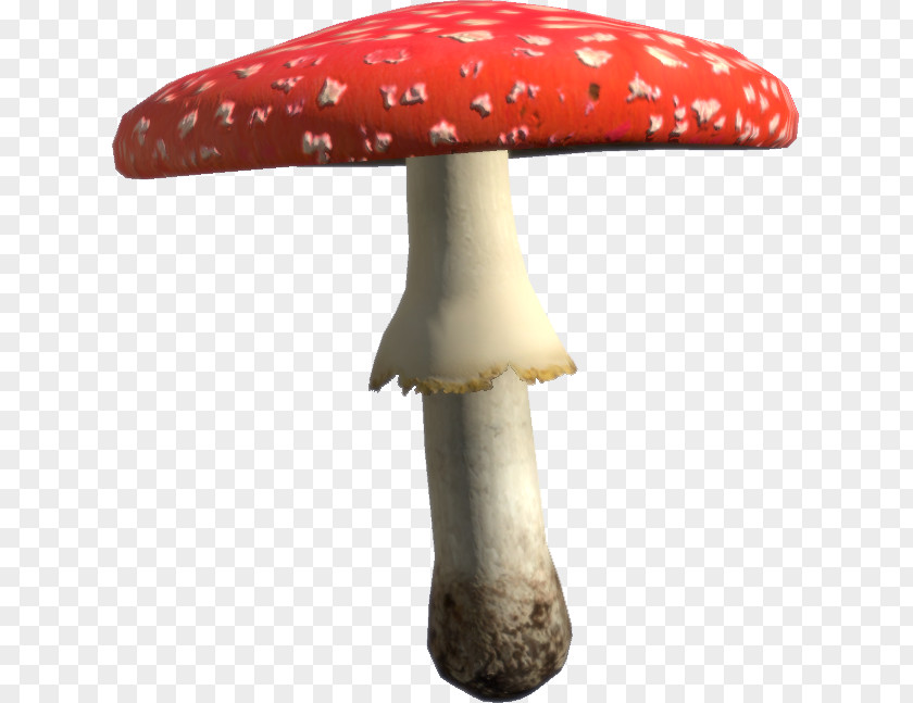 Mushroom Amanita Muscaria Food Fungus PNG