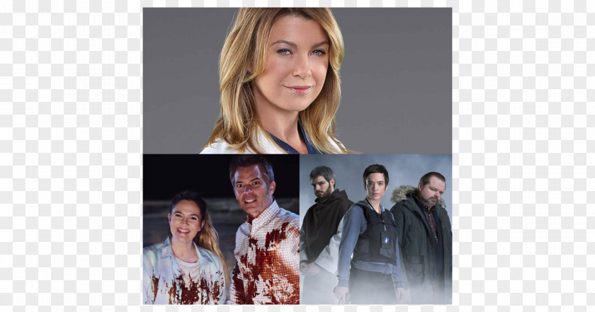 Season 13 Fernsehserie TelevisionOthers Grey's Anatomy PNG