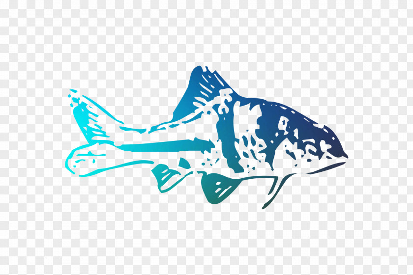 Shark Porpoise Logo Cartilaginous Fishes Illustration PNG