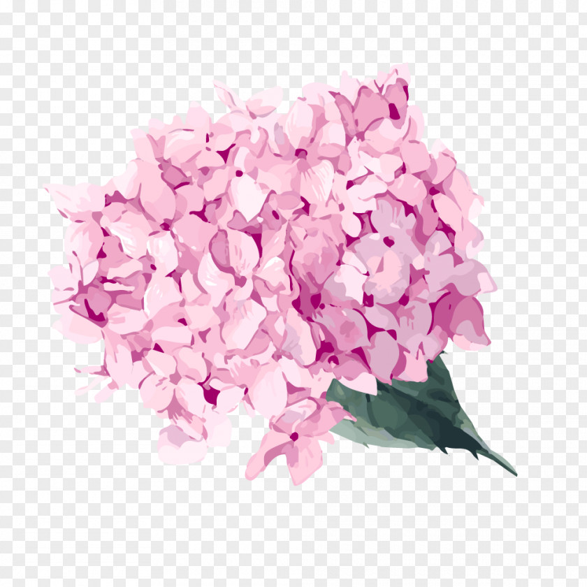 Watercolor Painting Vector Graphics Image Watercolor: Flowers PNG